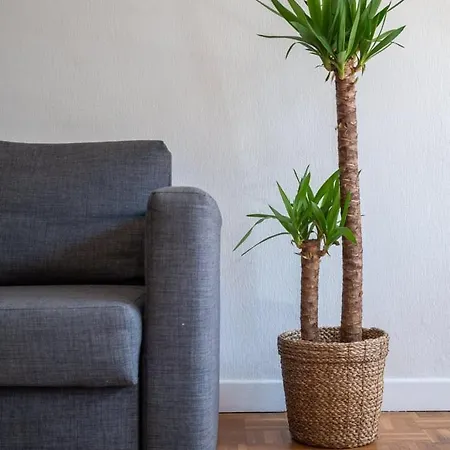Bright Flat In The Heart Of Vieux Lille. Lilla